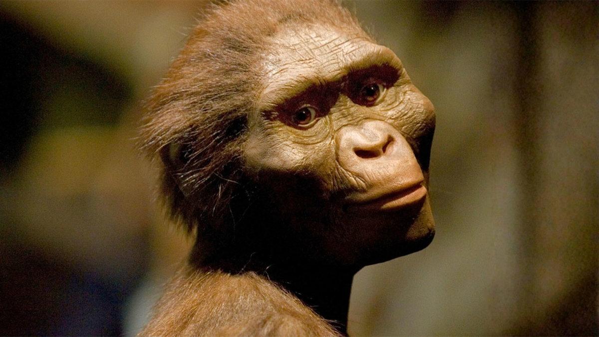 Ulaş Utku Bozdoğan: Lucy ve Komşusu: Australopithecus deyiremeda'nın Evrim Sokağına Giriş 1 Lucy ve Komşusu: Australopithecus deyiremeda'nın Evrim Sokağına Giriş