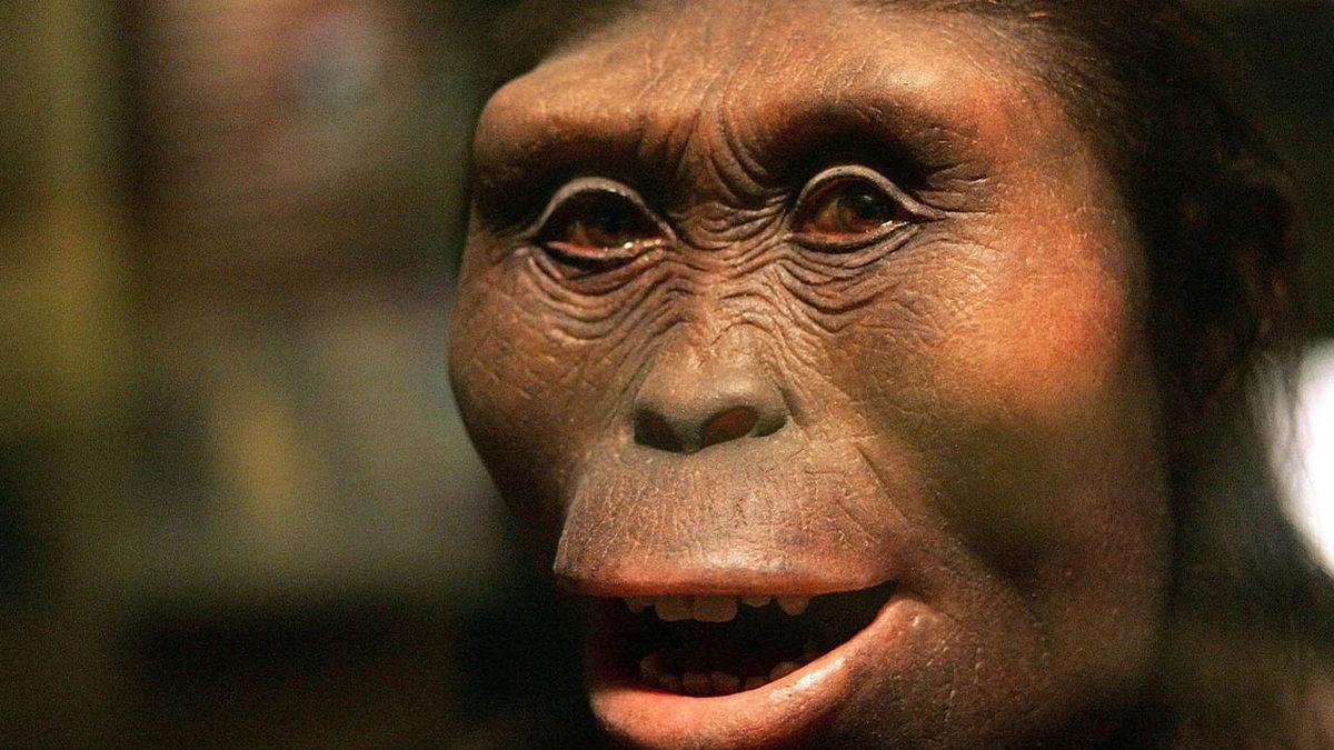Ulaş Utku Bozdoğan: Lucy ve Komşusu: Australopithecus deyiremeda'nın Evrim Sokağına Giriş 2 Lucy ve Komşusu: Australopithecus deyiremeda'nın Evrim Sokağına Giriş